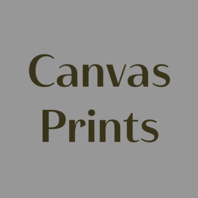 Canvas Prints