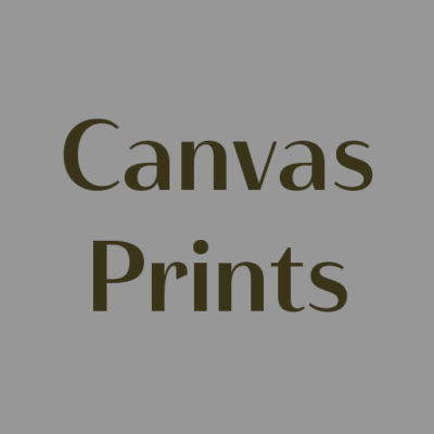 Canvas Prints