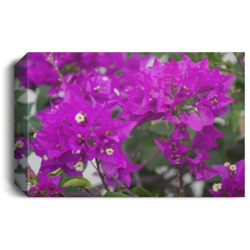 CANLA15 Deluxe Landscape Canvas 1.5in Frame